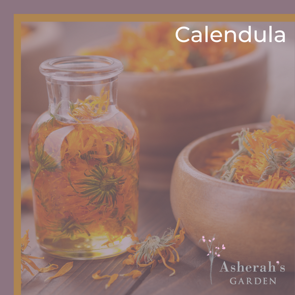 Calendula - More than just a 