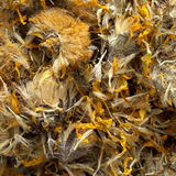 Herb - Arnica
