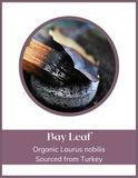 Herb - Bay Leaf