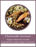 Herb - Chamomile