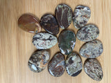 Crystals & Stones - Palm Stone - Jasper, Woodland
