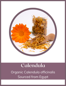 Herb - Calendula