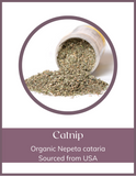 Herb - Catnip