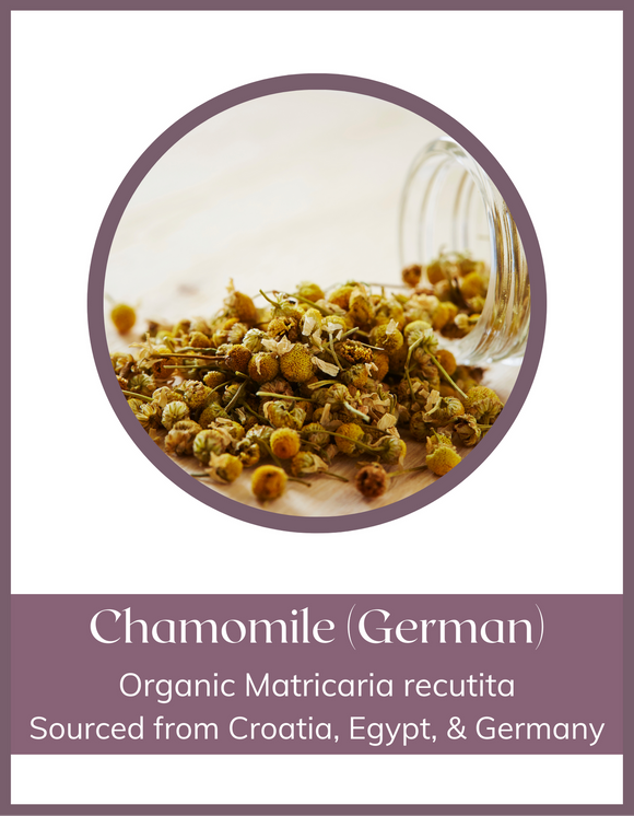 Herb - Chamomile