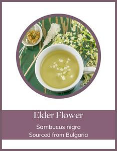 Herb - Elder Flower
