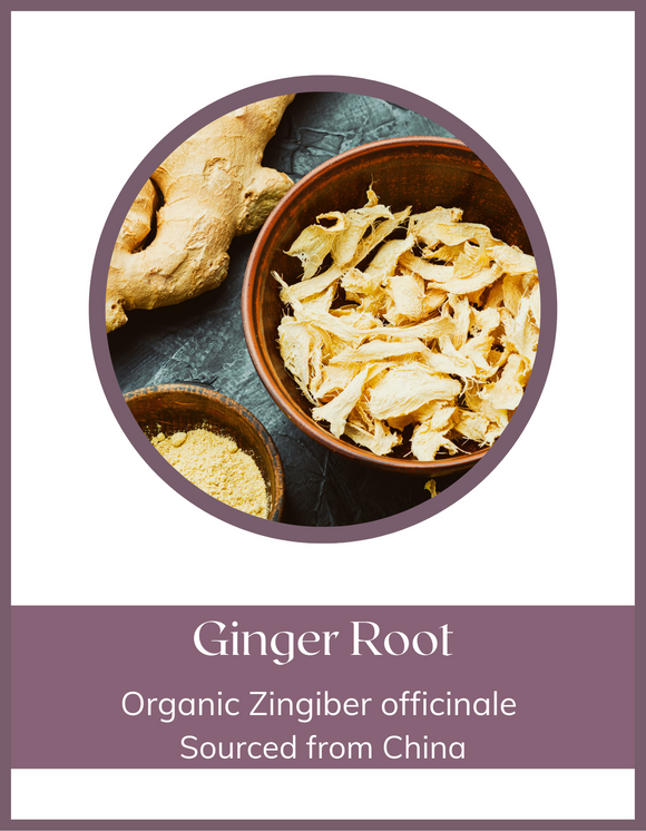 Herb - Ginger Root