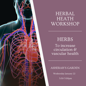 Class - Herbal Health - Herbs to increase circulation & vascular health