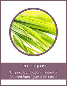 Herb - Lemongrass