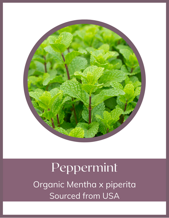 Herb - Peppermint Leaf