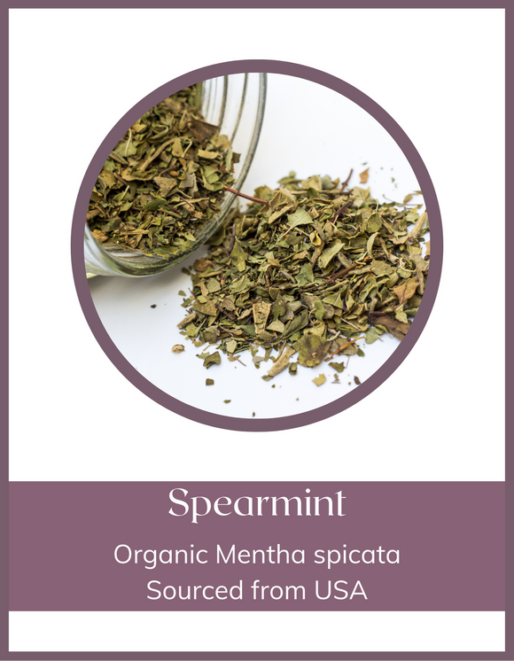 Herb - Spearmint