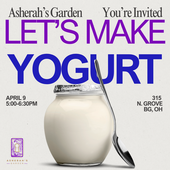 Class - Fermentation Series - Yogurt